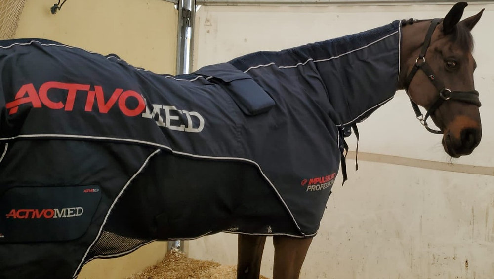 découvrez les causes et symptômes courants de la colique chez le cheval pour mieux prévenir et agir rapidement face à ce problème de santé.