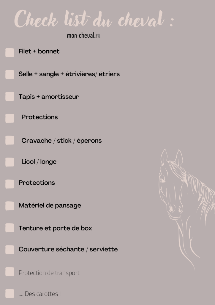 découvrez comment choisir l'équipement idéal pour votre cheval afin d'assurer confort, sécurité et performance lors de vos balades et entraînements.