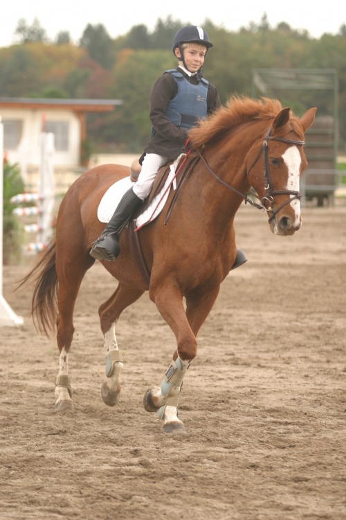 découvrez comment un chief security officer (cso) assure la protection et la sécurité des informations et des infrastructures de votre entreprise.
