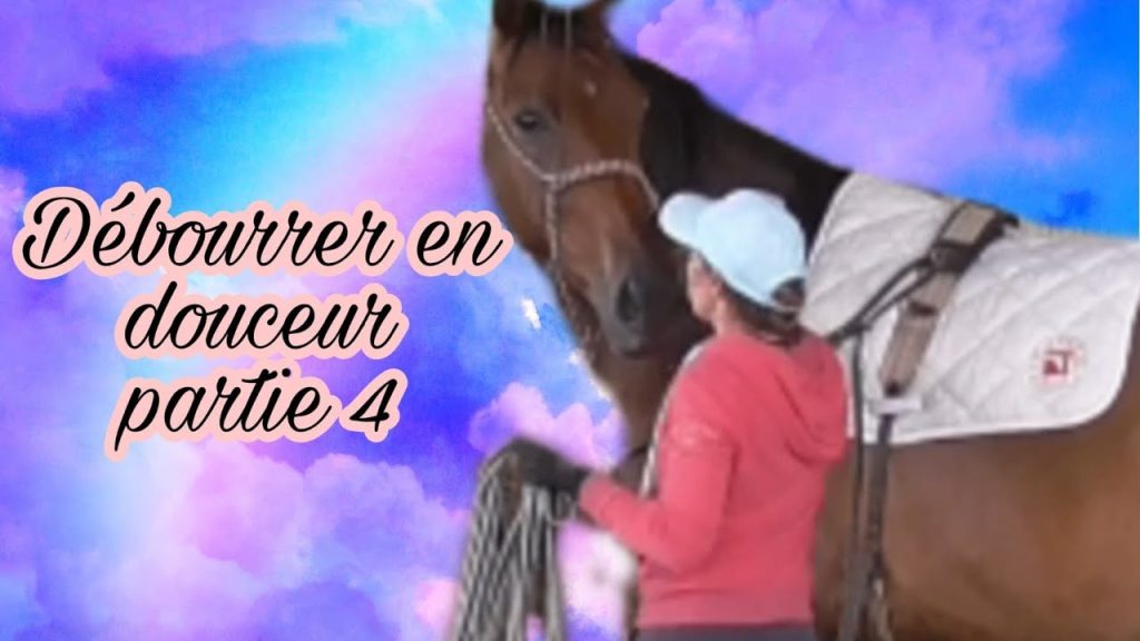 apprenez à débourrer un cheval en douceur grâce à des techniques respectueuses et adaptées pour instaurer confiance et bien-être entre vous et votre animal.