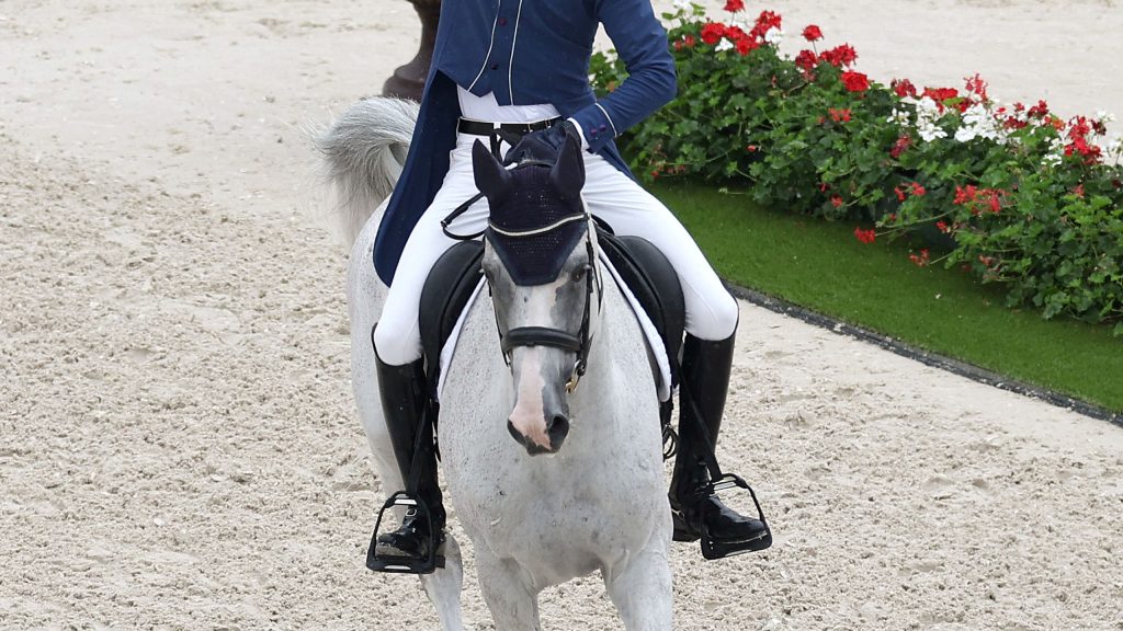 découvrez tout ce qu'il faut savoir sur l'équitation aux jeux olympiques 2028 : disciplines, athlètes, dates clés et actualités essentielles.