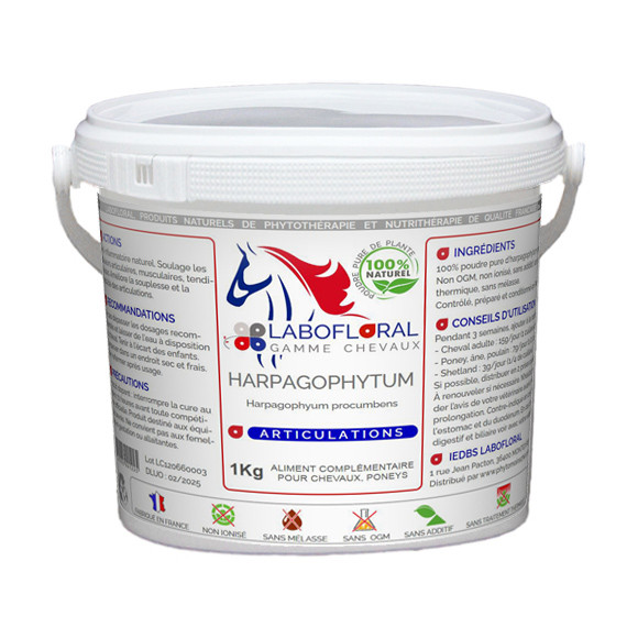 découvrez comment l'harpagophytum peut aider à soulager efficacement les douleurs articulaires chez les chevaux, pour un meilleur confort et une mobilité retrouvée.