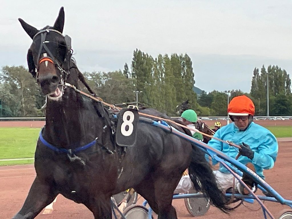découvrez l'histoire fascinante de l'hippodrome de cabourg et préparez votre visite pour vivre une expérience unique entre courses hippiques et patrimoine.