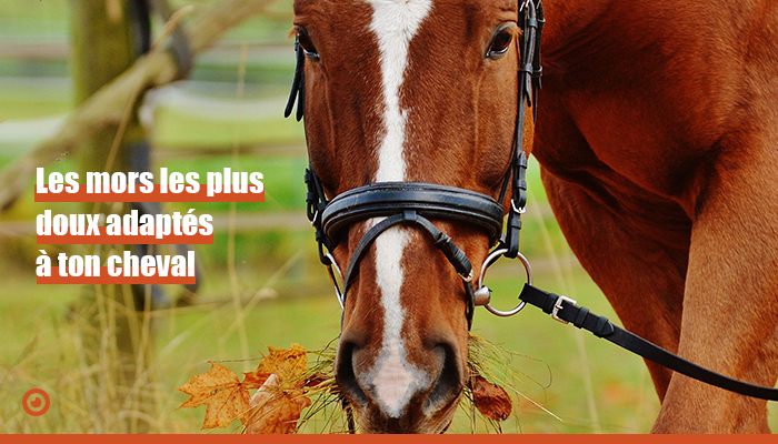 découvrez tout sur le mors pour cheval : son usage, les différents types existants et nos conseils pour bien choisir et utiliser cet équipement essentiel.