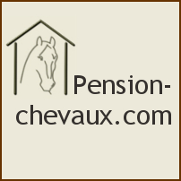 découvrez comment choisir le centre équestre idéal pour la pension de votre cheval, alliant confort, soins et activités adaptées.