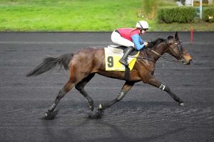 découvrez les pronostics du quinté au paris-vincennes du 13 janvier pour maximiser vos chances de gains avec nos analyses et conseils experts.