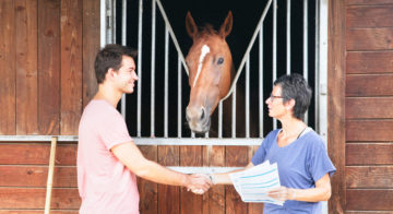 découvrez la recherche du cheval idéal menée par les haras nationaux, alliant expertise et passion pour l'élevage équin français.