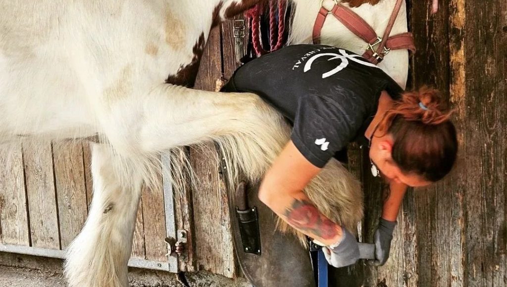 découvrez le rôle essentiel du maréchal-ferrant dans le soin et le bien-être des chevaux, garantissant leur santé et leur performance optimale.