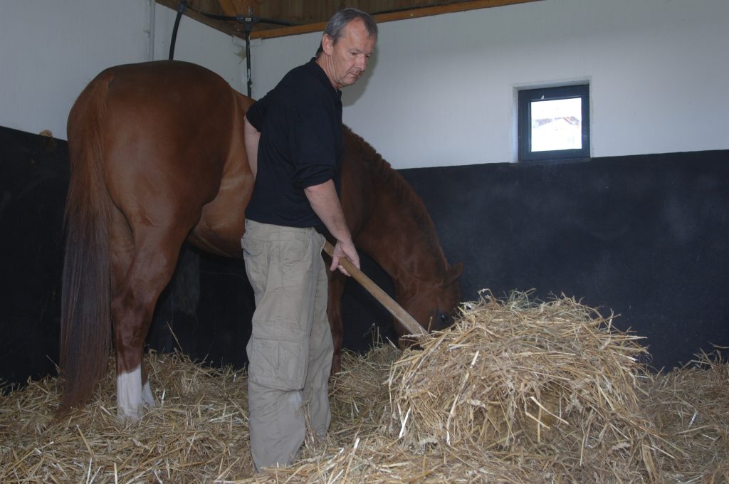 découvrez le rôle essentiel du palefrenier et les opportunités de carrière dans ce métier dédié au soin et à l'entretien des chevaux.