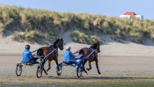 découvrez la sélection quinté d'hervé fortin pour la course de vincennes du 4 janvier, avec ses pronostics et analyses pour maximiser vos chances de gagner.