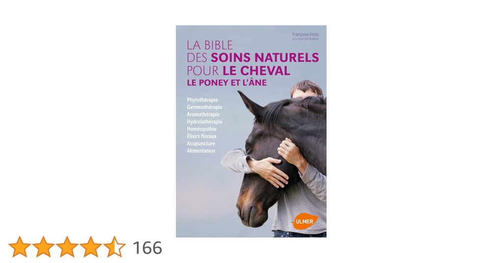 découvrez les soins essentiels pour assurer la santé et le bien-être de votre poney au quotidien.