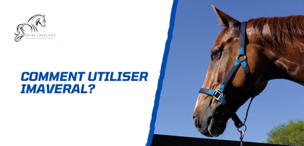 découvrez l'utilisation et les bienfaits du butox pour chevaux, un traitement efficace pour protéger et soigner vos équidés contre les parasites.