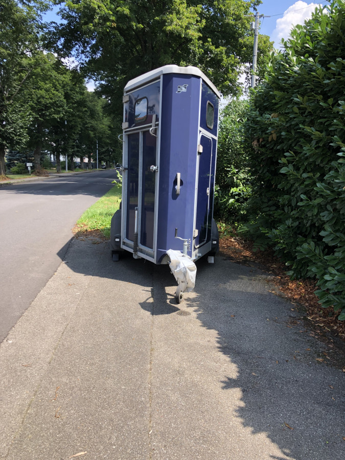 découvrez comment utiliser le forum cheval annonces pour vendre ou acheter un cheval facilement et en toute confiance. astuces et conseils pour réussir vos transactions.