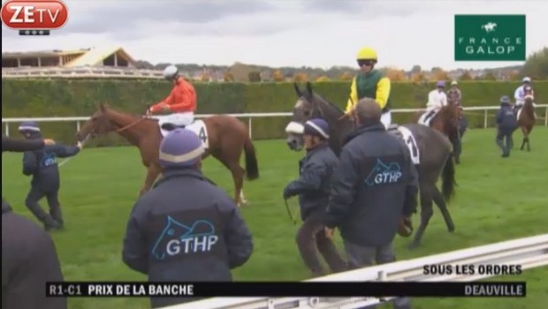 suivez les courses hippiques en direct, regardez les replays, consultez les pronostics et obtenez les résultats pmu en temps réel pour parier en toute confiance.