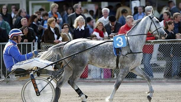 découvrez les conseils d'hervé fortin pour le quinté à paris-vincennes du 11 février, avec analyses et pronostics pour maximiser vos chances de gain.