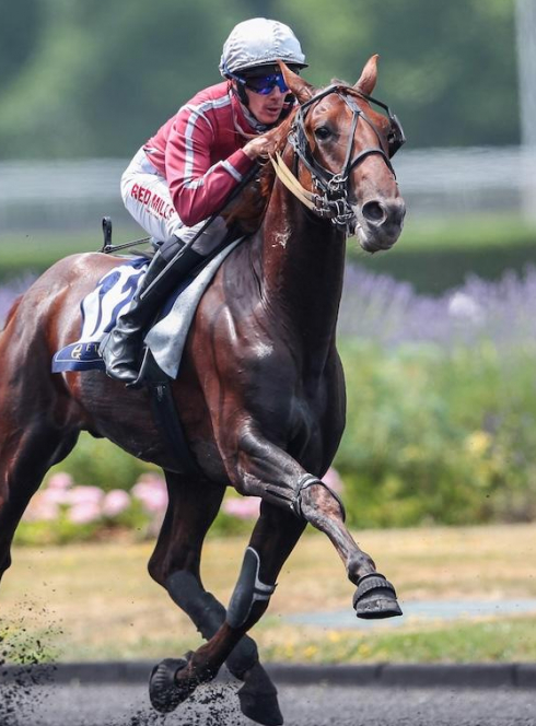 les sénateurs explorent l'univers passionnant des courses hippiques lors d'une visite à l'hippodrome de paris-vincennes.