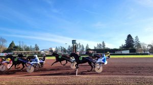 rejoignez des bénévoles passionnés des courses hippiques et vivez une expérience unique au cœur des événements équestres.