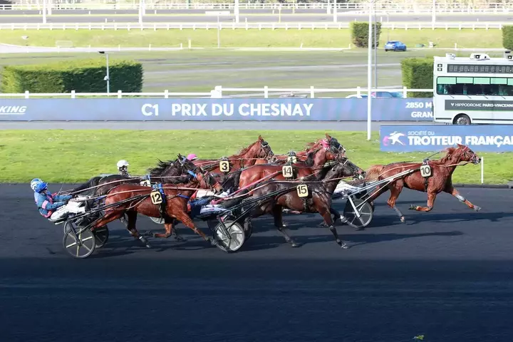 découvrez nos conseils experts pour parier sur les courses hippiques du 28 février 2026 et maximisez vos gains avec des astuces fiables et actualisées.