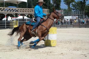 Haute-Loire : Plongez dans l’univers des paris, tombola et commissaires ce dimanche à l’hippodrome de Jullianges