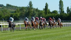 Hippodrome éphémère de Plouescat : pistes impeccables et affluence historique pour des courses hippiques inoubliables