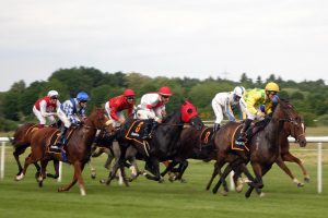 À l’approche de la dernière course de la saison à l’hippodrome, l’équipe d’« Hippiquement vôtre » fait le point