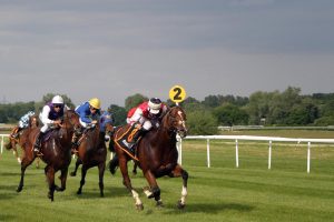 Pronostics hippiques du vendredi 9 octobre 2026 : les chevaux à suivre